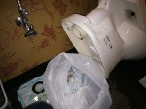 札幌市 中央区 すすきの トイレ詰まり 修理 異物除去